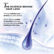 Novology Follicle Revive Scalp Serum,For Hair Growth,Suitable For Sensitive Scalp,Dermat Tested (50ml)