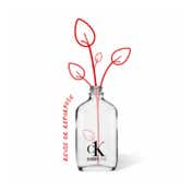 Calvin Klein Everyone Eau De Toilette (100ml)