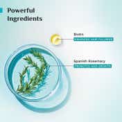 Pilgrim Spanish Rosemary Anti Hairfall Hair Mask (200 g)