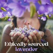Love Beauty & Planet Argan Oil & Lavender Flyaway Stick (12 ml)