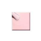 Colorbar Vegan Nail Lacquer - Candy Pink-021 (8 ml)