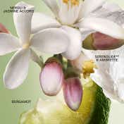 Prada Paradoxe Virtual Flower Eau De Parfum (50 ml)