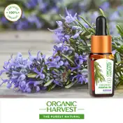 Organic Harvest Rosemary Essential Oil (10ml)