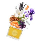 PASCAL MORABITO Perle Royale Eau De Parfum for Womens (100 ml)