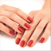 Lakme Absolute Gel Stylist Nail Color - Tomato Tango (12 ml)