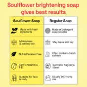 Soulflower Detan Bright Tomato Soap for Tan Removal & Moisturizer (100 g)
