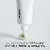 Celimax The Real Noni Energy Repair Cream (50ml)