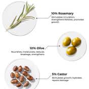 Brillare 10% Rosemary Hair Oil for Hair Growth Reduces Hair Fall and Strengthens Hair (100 ml)