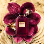 Chopard Vanille Malika Eau de Parfum (100 ml)