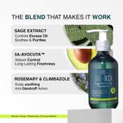 SH-RD Sage Purifying Shampoo for Oily Scalp and Sebum Balancing Treatment (200 ml)