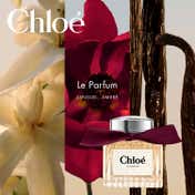 Chloe Le Parfum for Women (50 ml)