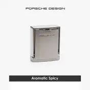 Porsche Design Palladium Eau de Toilette (100ml)