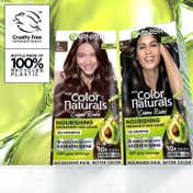 Garnier Color Naturals Creme Riche Hair Color - 4 Brown (70ml+60g)