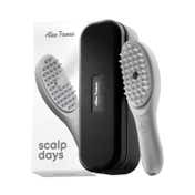 Alan Truman Scalp-Days - Scalp Care & Therapy Brush - Grey