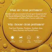 Secret Alchemist Signature Line Fresh Vetiver Perfume for Men (100 ml)