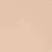 L.A. Girl Tinted Foundation - Bisque (30 ml)