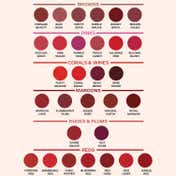 Faces Canada Weightless Matte Lipstick, Pigmented and Hydrated Lips - Forsake Beauty 01 (4.5 g)