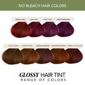 Paradyes Semi-Permanent Glossy Hair Tint Cream Color - Espresso Brown (160 g)
