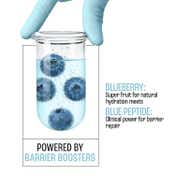 Lakme Blush & Glow Blueberry + Peptide Jelly Face Wash (150 g)
