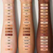 Daily Life Forever52 Complete Coverage Concealer - COV015 Americano (10 g)