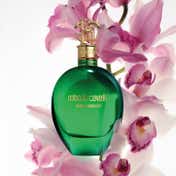 Roberto Cavalli Signature Verde Assoluto Eau De Parfum for Women (75 ml)