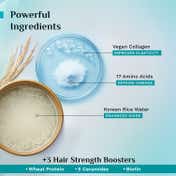 Pilgrim Korean Rice Water & Collagen Advanced Damage Repair Hair Mask (200 g)