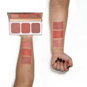 Character 3 Color Blusher - NTE002 (39 g)