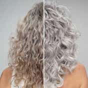 Biotop Professional 19 Pro Silver Hair Mask (250ml)