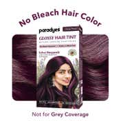 Paradyes Semi-Permanent Glossy Hair Tint Cream Color - Velvet Burgundy (160 g)