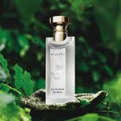 Bvlgari Eau Parfume The Blanc Eau de Toilette (75 ml)