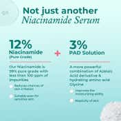The Pink Foundry 12% Niacinamide Super Clarifying Face Serum (30ml)