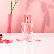 SOLINOTES Rose Eau de Parfum (50 ml)
