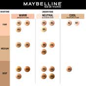 Maybelline New York Fit Me Matte + Poreless Liquid Foundation SPF 22 - 228 Soft Tan (30 ml)