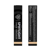 PAC Spotlight Liquid Concealer - 02 Skin (15 g)