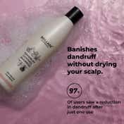 Brillare Dandruff Control Shampoo for Itchy Flaky Scalp (300 ml)