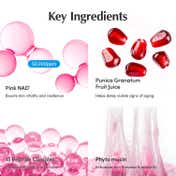 EQQUALBERRY Nad+ Peptide Boosting Cream (50 ml)