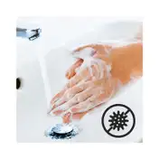SKIN COTTAGE Fruity Essence Hand Wash (500ml)