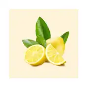 SKIN COTTAGE Lemon Extract Hand Wash (500ml)