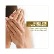 SKIN COTTAGE Lemon Extract Hand Wash (500ml)