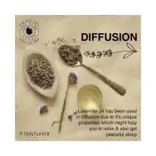 Soulflower Lavender Bath and Aroma Gift Set - (5 Pcs)
