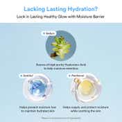 Abib Sedum Hyaluron Pad Hydrating Touch (220 ml)