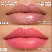PAC Lip Primer Infused with Jojoba Oil Hydrates & Locks Moisture Prevents Fading Transparent (4.8 g)