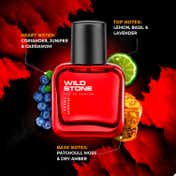 Wild Stone Ultra Sensual Eau De Parfum For Men (30 ml)