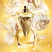 Jean Paul Gaultier Gaultier Divine Eau De Parfum (100 ml)