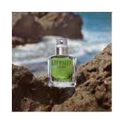 Calvin Klein Eternity Eau De Parfum - (100 ml)