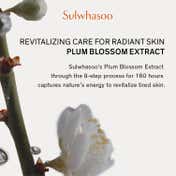 Sulwhasoo Essential Revitalizing Water (150 ml)
