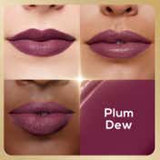 Renee H2O Hydrating Creme Lipstick - Plum Dew (4 g)