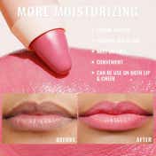 Oulac Color Shine Lip Crayon - 06-Rose Tea (2.48 g)