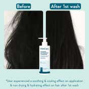 WishCare Ceramide Anti Dandruff Conditioner for Dry and Frizzy Hair Adds Shine (200 ml)