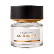BMW Amberness Eau de Parfum (100 ml)